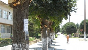 Кражба от механа в Крапец
