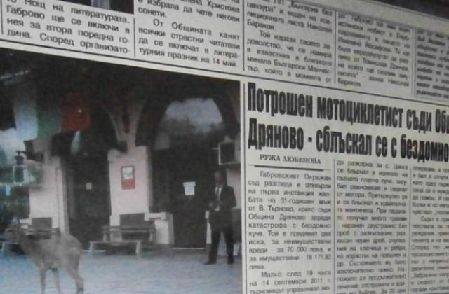 Потрошен мотоциклетист съди Община Дряново - сблъскал се с бездомно куче