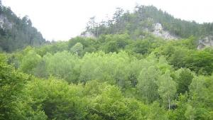 Слънчево и тихо на места с разкъсана облачност