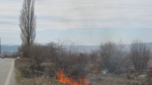 Кметът на Кюстендил забрани паленето на стърнища и сухи треви