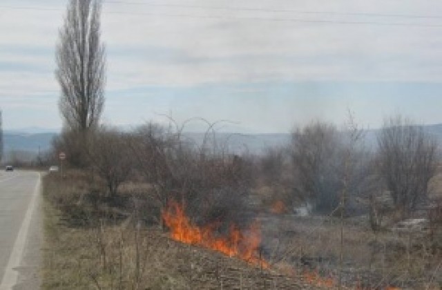 Кметът на Кюстендил забрани паленето на стърнища и сухи треви