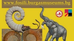Студенти дариха рядка вкаменелост на музея