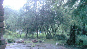 Жълт код е обявен за 14 май в област Габрово