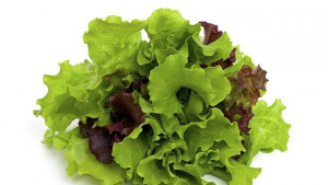 Създадоха домашна градина контролирана от смартфон