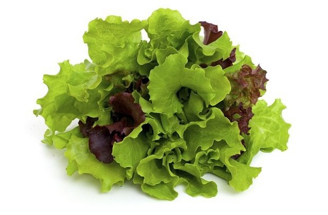 Създадоха домашна градина, контролирана от смартфон