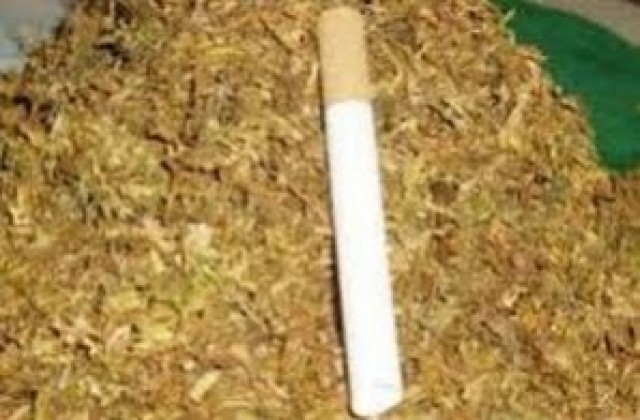 11 кг изсушен тютюн иззеха от хасковлия