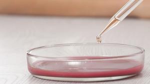 Шотландски учени напредват в създаването на изкуствена кръв