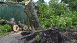 Само в Горни Дъбник бурята отнесе покривите на 100 къщи