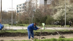 Дърводелците с поголеми заплати от финансистите