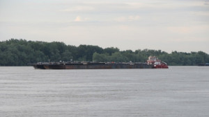 Дунав се покачва засега няма опасност за Свищов