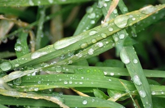 Синоптици предвиждат дъждовно и студено време до август