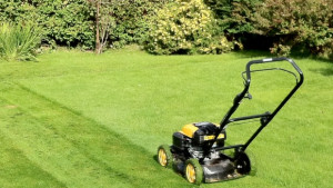 Кмeтът Абсурдно е град като Варна да бъде косен на