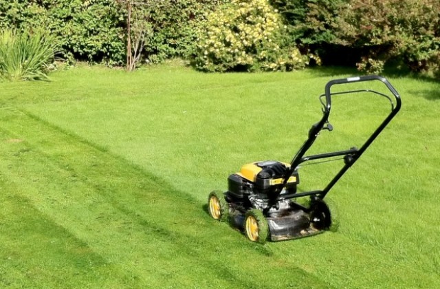 Кмeтът: Абсурдно е град като Варна да бъде косен на ръка