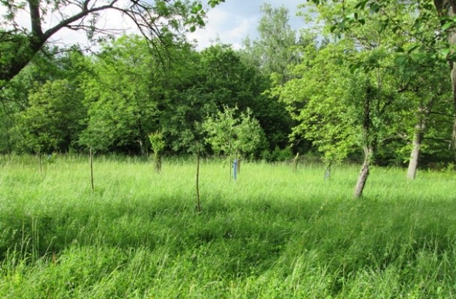 „Старите калеми превърнаха“ самодейците в земевладелци