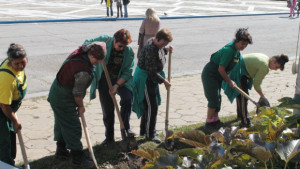 144 безработни от Търговищка област ще бъдат ангажирани по програма