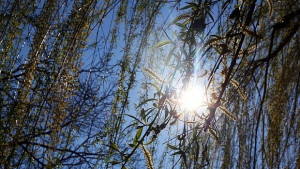 Хубаво време около изборите следващата седмица отново дъжд