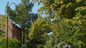 Собственици на имоти в Морската са оттеглили жалбите си