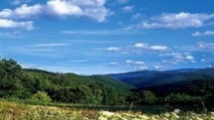 РИОСВ отбелязва Международния ден на биоразнообразието с фотоизложба