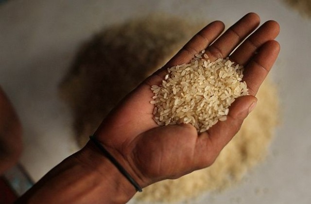 Създадоха безжичен пейсмейкър колкото оризово зърно