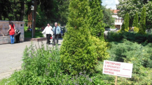 ДДД Кюстендил пръска срещу кърлежи