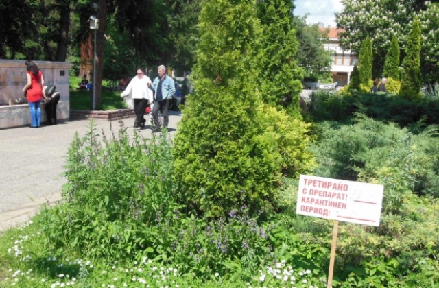 ДДД- Кюстендил пръска срещу кърлежи