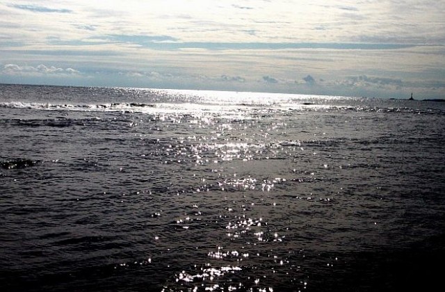 Морските пришълци поставят под съмнение теорията за еволюцията