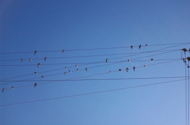 Оптимизъм в градушката