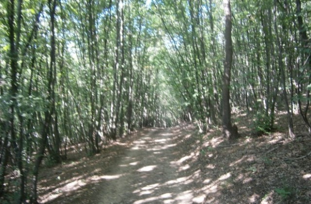 Топло време с високи температури