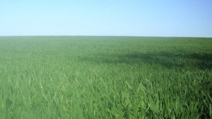 Трудова злополука край село Тригорци