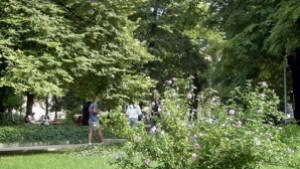 Обезопасиха два парка във В Търново