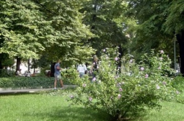 Обезопасиха два парка във В. Търново