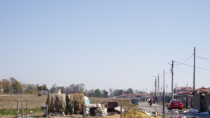 Глобиха ром от Каменар заради псувни по съседка