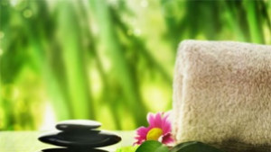 Конгрес по балнеология и спа туризъм в Хисаря