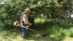 Косенето на тревата напредва в някои райони обработват повторно