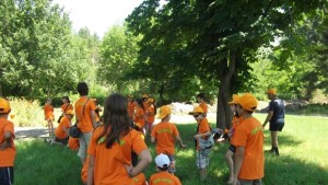 След дни започват летните детски занимания