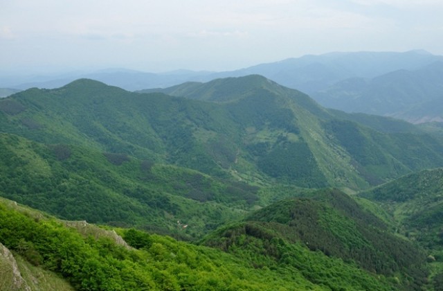 Търсят полезни изкопаеми в Берковския балкан