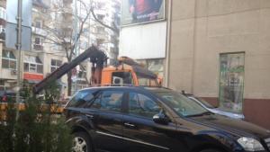 Жена осъди Общинска полиция заради паяк