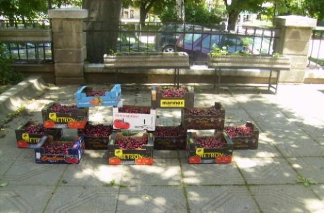 От полицията готови с охраната по време на черешовата кампания