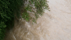 Димитър Стаменов Почистеното корито на Янтра предотврати наводнение като това