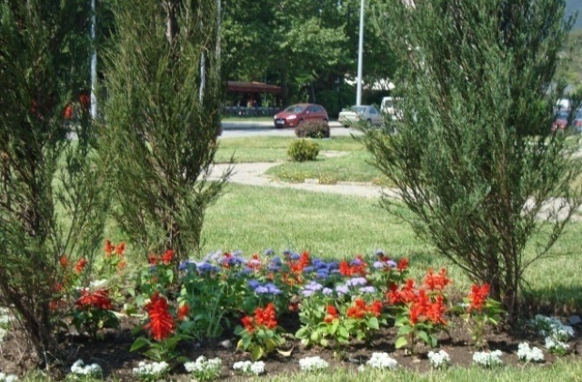 Косят тревите във Варна и през почивните дни
