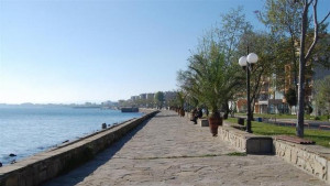 Осемдесет палми за красота в Поморие