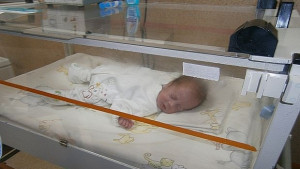 Русенската община отпуска пари за ин витро