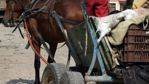 Влагат европейски пари за интеграция на ромите