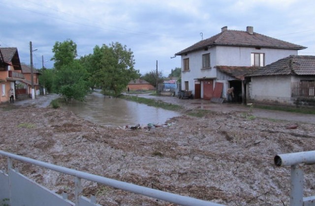 Реколта на около 700 ха е унищожена в Русенско от проливния дъжд и градушка