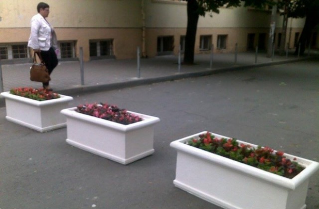 Повече от шест хиляди се обявиха срещу движението на коли в центъра и около училищата