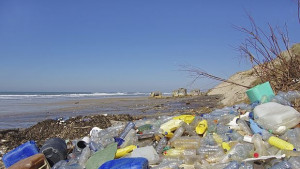 Изхвърлените по бреговете пластмасови боклуци образуват нова скала