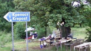 Задигнаха 1 тон череши от градина в с Крепост