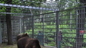 Бойка и Станди с нова клетка