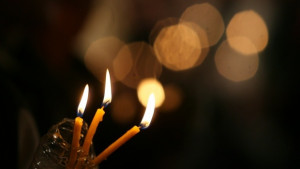 Черешова задушница е