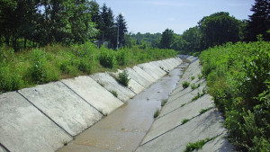 В лозята на Добрич и село Богдан след пороя СНИМКИ